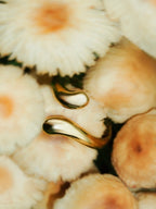 Anillo Luxury
