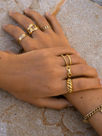Anillo Zeal Ring