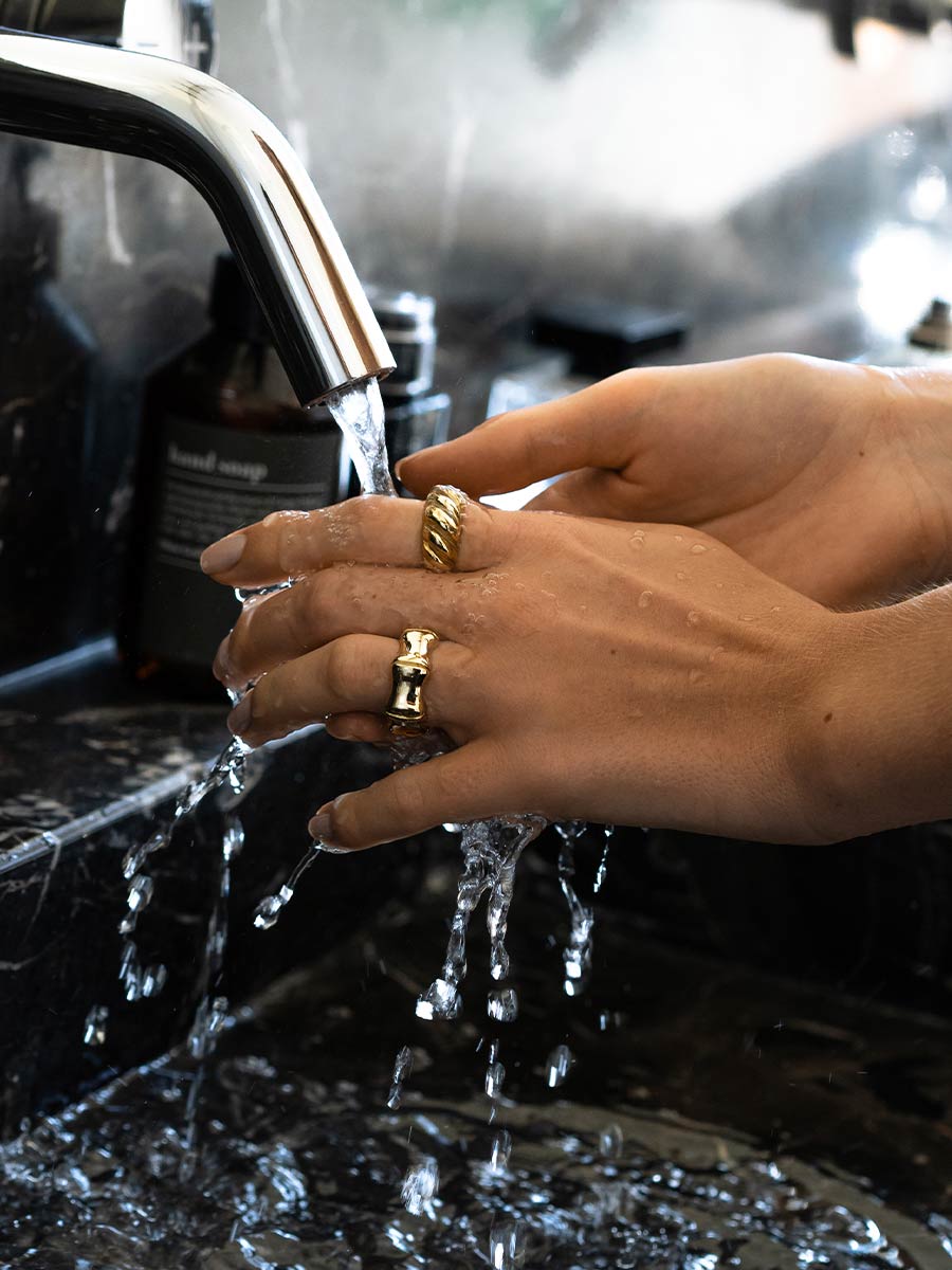 Anillo Zeal Ring